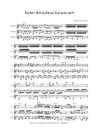 Kater Amadeus equilibrado - Trio para Violino, C.PiqueDame - médio