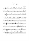 Neue Wege - Stimmen - sinfonisches Orchesterwerk mit Akustik- E.-Gitarre, Drums, Percussion, Klavier, Holz-und Blechbläsern und Streichern
