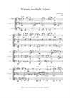 Warum, weshalb, wieso - Trio für Violinen, C.PiqueDame - mittelschwer